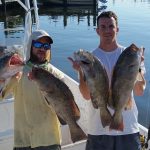 grouper fishing Sarasota Bay