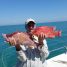 Anna Maria Island Sportfishing – January