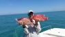 Anna Maria Island Sportfishing – January